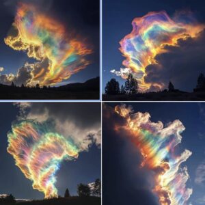 fire rainbow