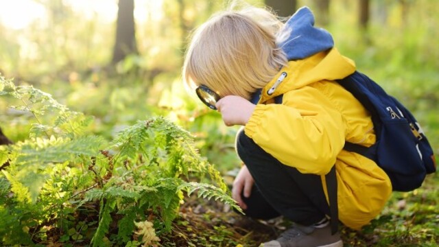 7 Pelajaran dari Alam Exclusive untuk Pertumbuhan dan Pembaruan yang Menginspirasi